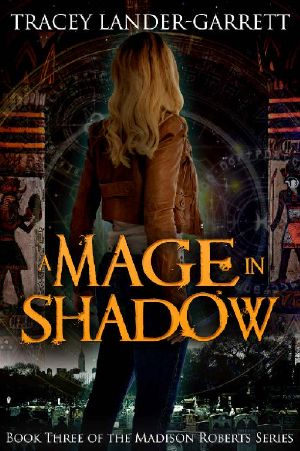 [Madison Roberts 03] • A Mage in Shadow